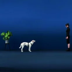 HUNTER Geschirr Maldon - Schwarz/grau -ZOOPLUS Verkäufe 100413 hunter geschirr maldon hs 03 2