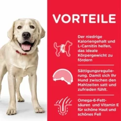 Hill's Science Plan Adult Light Large Breed Mit Huhn -ZOOPLUS Verkäufe 105732 hills scienceplan adultlight largebreed chicken 14kg hs 06 3