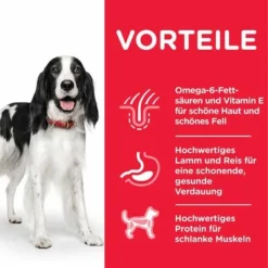 Hill's Science Plan Adult 1-6 Medium Mit Lamm & Reis -ZOOPLUS Verkäufe 105927 hills scienceplan adult medium lambrice 14kg hs 05 4