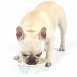 Arm & Hammer Frische Kokosnusswasser Zahnpflege -ZOOPLUS Verkäufe 115600 a h zahnpflege kokoswasser hs03 3