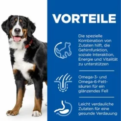 Hill's Science Plan Mature Adult Senior Vitality 6+ Large Mit Huhn -ZOOPLUS Verkäufe 117796 hill sp dog ma large yv chicken transition benefits 0