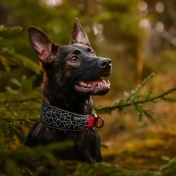 Rukka® Cube Soft Halsband, Rot / Schwarz -ZOOPLUS Verkäufe 139798 lfashion rukka cube soft halsband rot hs 03 8