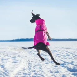 Rukka® Warmup Hundemantel, Pink -ZOOPLUS Verkäufe 139904 lfashion rukka warmup hundemantel hotpink 38cm hs 04 1