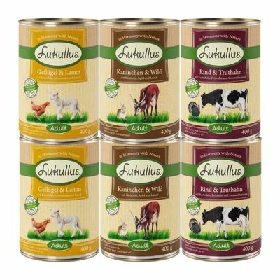 6 X 400 G Lukullus Naturkost Gemischte Probierpaket 4 6 X 400 G Lukullus Naturkost Gemischte Probierpaket – Bild 2