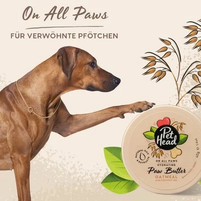 Pfotenbalsam Für Hunde: Pet Head On All Paws Paw Butter 4 Pfotenbalsam Für Hunde: Pet Head On All Paws Paw Butter – Bild 2