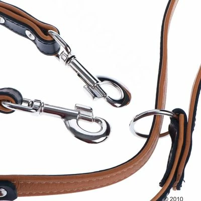 Heim Set: Vorführleine Stars + Lederhalsband Stars 8 Heim Set: Vorführleine Stars + Lederhalsband Stars – Bild 6