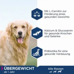 Eukanuba Daily Care Overweight Adult Dog -ZOOPLUS Verkäufe 163198 tetragmbhiams eukanuba dailycare overweight adult dog 12kg hs 03 4