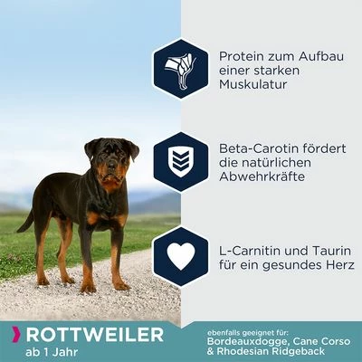 Eukanuba Adult Breed Specific Rottweiler 4 Eukanuba Adult Breed Specific Rottweiler – Bild 2