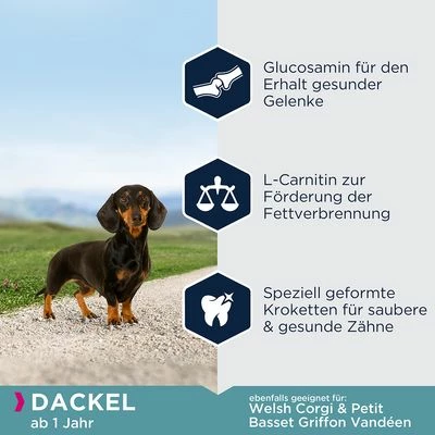 Eukanuba Adult Breed Specific Dachshund – Bild 2