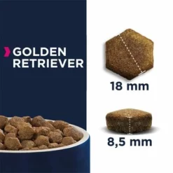 Eukanuba Adult Breed Specific Golden Retriever -ZOOPLUS Verkäufe 170005 tetragmbhiams eukanuba adult breedspecific goldenretriever 12kg hs 05 8