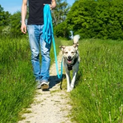 Petlando Pawz & Pepper Schleppleine Strong, Blau 14 Petlando Pawz & Pepper Schleppleine Strong, Blau -ZOOPLUS Verkäufe 174796 174797 pawznpepper schleppleine rund geflochten blau hs 05 6