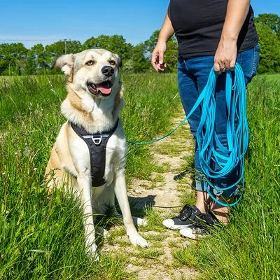 Petlando Pawz & Pepper Schleppleine Strong, Blau 9 Petlando Pawz & Pepper Schleppleine Strong, Blau – Bild 7