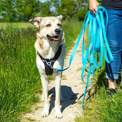 Petlando Pawz & Pepper Schleppleine Strong, Blau 4 Petlando Pawz & Pepper Schleppleine Strong, Blau – Bild 2