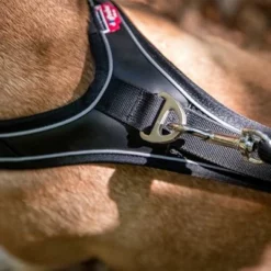 Curli Belka Comfort Geschirr - Schwarz -ZOOPLUS Verkäufe 176034 curli belka comfort geschirr schwarz hs 10 7