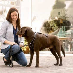 Curli Belka Comfort Geschirr - Schwarz -ZOOPLUS Verkäufe 176034 curli belka comfort geschirr schwarz hs 11 2