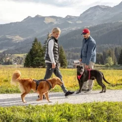 Curli Belka Comfort Geschirr - Schwarz -ZOOPLUS Verkäufe 176034 curli belka comfort geschirr schwarz hs 12 7