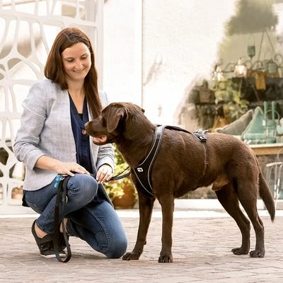 Curli Verstellbare Leine Nylon, Schwarz 5 Curli Verstellbare Leine Nylon, Schwarz – Bild 3