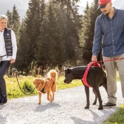 Curli Belka Comfort Geschirr - Rot -ZOOPLUS Verkäufe 177196 curli belka comfort geschirr rot hs 13 7