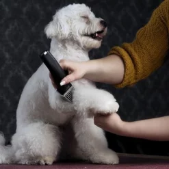 Schermaschine Moser Arco Pro -ZOOPLUS Verkäufe 181496 wahl moser schermaschinemoser arcopro hs 06 2