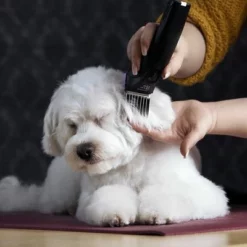 Schermaschine Moser Arco Pro -ZOOPLUS Verkäufe 181496 wahl moser schermaschinemoser arcopro hs 07 8