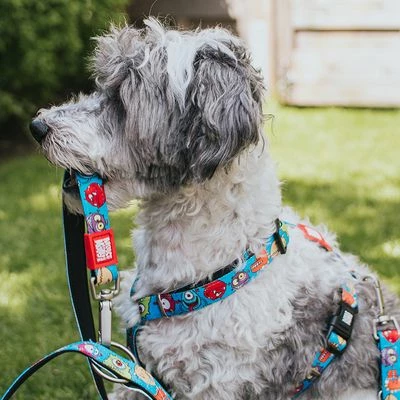 Max & Molly H-Geschirr Little Monsters 9 Max & Molly H-Geschirr Little Monsters – Bild 7