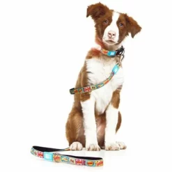 Max & Molly Kurzleine Comic -ZOOPLUS Verkäufe 186587 maxnmolly kurzleine comic hs 03 2