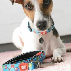 Max & Molly Kurzleine Little Monsters 15 Max & Molly Kurzleine Little Monsters -ZOOPLUS Verkäufe 189596 maxnmolly kurzleine little monsters dog hs 02 6