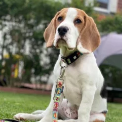 Max & Molly Multifunktionsleine Comic -ZOOPLUS Verkäufe 189996 186588 189998 maxnmolly multifunktionsleine comic hs 02 3