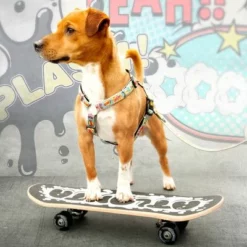 Max & Molly H-G﻿eschirr Comic -ZOOPLUS Verkäufe 189999 186590 190000 maxnmolly h geschirr comic hs 03 8