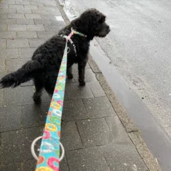 Max & Molly H-G﻿eschirr Donuts -ZOOPLUS Verkäufe 190296 190297 190396 maxnmolly hg eschirr donuts hs 05 6