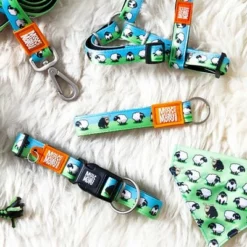 Max & Molly Kurzleine Black Sheep -ZOOPLUS Verkäufe 190401 maxnmolly kurzleine blacksheep hs 02 2