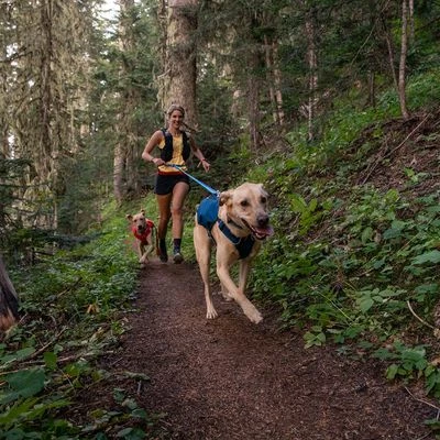 Ruffwear Switchbak Harness, Blue Moon 8 Ruffwear Switchbak Harness, Blue Moon – Bild 6