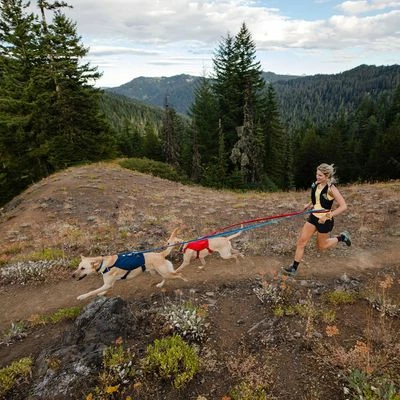 Ruffwear Switchbak Harness, Blue Moon 13 Ruffwear Switchbak Harness, Blue Moon – Bild 11