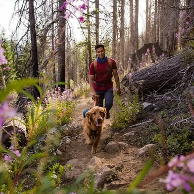 Ruffwear Switchbak Harness, Blue Moon 14 Ruffwear Switchbak Harness, Blue Moon – Bild 12