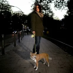 Flexi New Neon Gurt-Leine, 5 M -ZOOPLUS Verkäufe 198297 198296 198298 flexi new neongurt leine hs 07 1