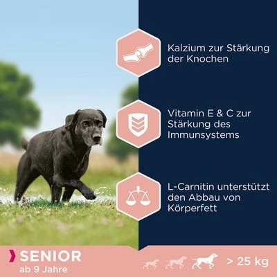 Eukanuba Caring Senior Large Breed Huhn – Bild 2