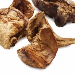 Phil & Sons Pferdelunge 7 Phil & Sons Pferdelunge -ZOOPLUS Verkäufe 199708 1pferdelunge 4