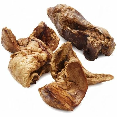 Phil & Sons Pferdelunge 3 Phil & Sons Pferdelunge