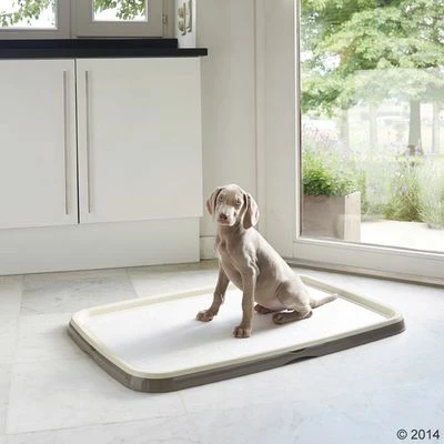 Savic Puppy Trainer Starter Set 7 Savic Puppy Trainer Starter Set – Bild 5