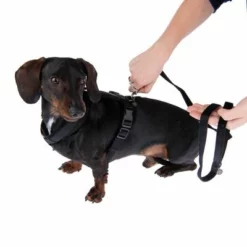 Nomad Tales Blush Hundeleine, Ebony -ZOOPLUS Verkäufe 1 325401 325396 blush s fg 6960 0