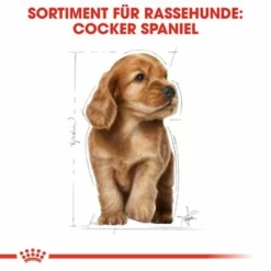Royal Canin Cocker Puppy -ZOOPLUS Verkäufe 1 84452 royalcanin puppyhund cocker hs 04 5
