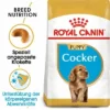 Royal Canin Cocker Puppy -ZOOPLUS Verkäufe 1 84452 royalcanin puppyhund cocker mainpic 2