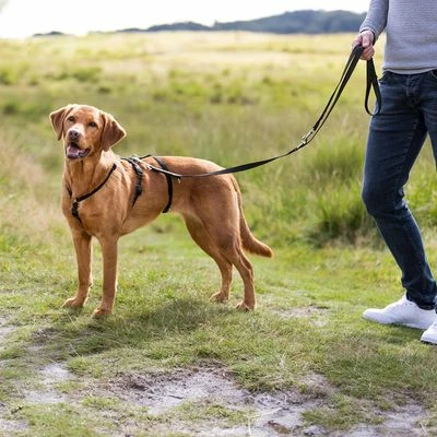 Trixie Panikgeschirr Stay Schwarz – Bild 4