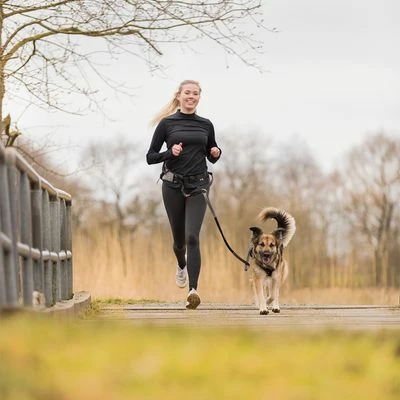 Trixie Jogginggurt Mit Leine - Grau/schwarz 5 Trixie Jogginggurt Mit Leine - Grau/schwarz – Bild 3