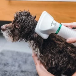 Trixie Warmluftbürste -ZOOPLUS Verkäufe 212217 trixie warmluftbuerste 300w hs 19 8