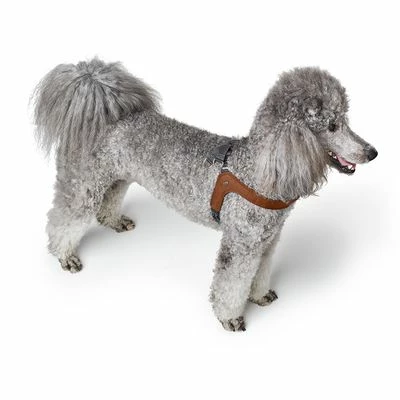 HUNTER Hundegeschirr Dimaro Aus Leder, Cognac – Bild 2