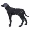 Rukka® Warmup Hundemantel, Schwarz 2 Rukka® Warmup Hundemantel, Schwarz -ZOOPLUS Verkäufe 217400 217401 217402 217403 217404 lfashion rukkapets warmup hundemantel schwarz hs 03 7