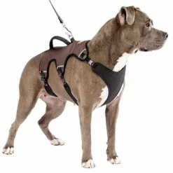 Ferplast Ergotrekking Geschirr, Braun -ZOOPLUS Verkäufe 224505 224506 224507 ferplast ergotrekking geschirr braun hs 14 0