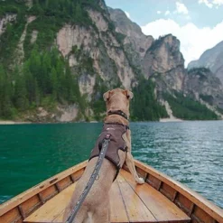 Ferplast Ergotrekking Geschirr, Braun -ZOOPLUS Verkäufe 224505 224506 224507 ferplast ergotrekking geschirr braun hs 18 4