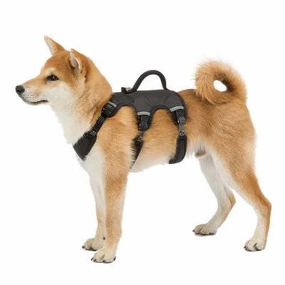 Ferplast Ergotrekking Geschirr, Schwarz 13 Ferplast Ergotrekking Geschirr, Schwarz – Bild 11